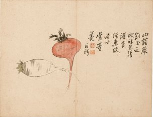 清 罗聘 花果图册-10-X 31.6x24.3[花鸟] 