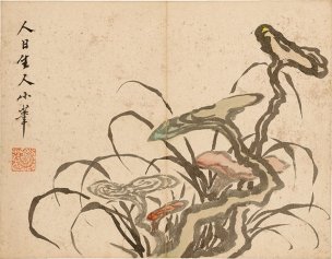 清 罗聘 花果图册-9-X 31.6x24.3[花鸟] 