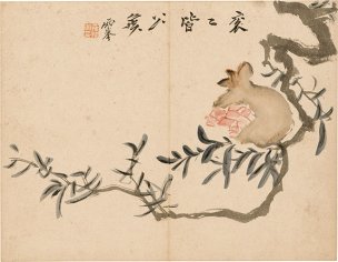 清 罗聘 花果图册-7-X 31.6x24.3[花鸟] 