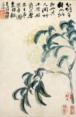 清 石涛 花卉册十二开1 20x31[花鸟] 