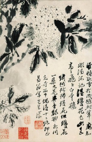 清 石涛 花卉册十二开11 20x31[花鸟] 