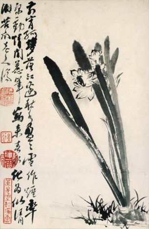 清 石涛 花卉册十二开3 20x31[花鸟] 