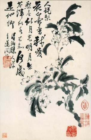 清 石涛 花卉册十二开7 20x31[花鸟] 