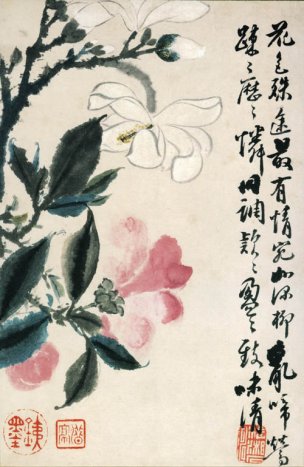 清 石涛 花卉册十二开6 20x31[花鸟] 