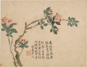 清 汪士慎 花卉图册十二开-5-X 31.2x24.2[花鸟]