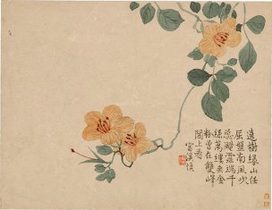 清 汪士慎 花卉图册十二开-6-X 31.2x24.2[花鸟]
