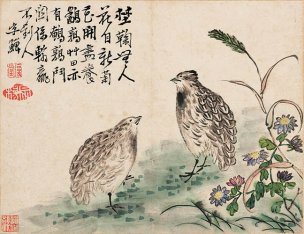 清 李禅 李鱓 花鸟册页十开-8 30x23[花鸟]