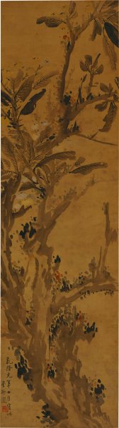 清 李方膺 枇杷图 45.3x161.5[花鸟] 