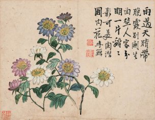 清 李禅 李鱓 花卉册页十二开-12 纸本 29.5x22.9[花 