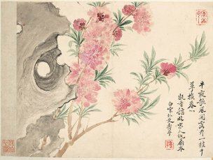 清 恽寿平 花卉图册十开-1（桃花石头图）纸本 