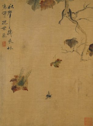 清 恽寿平 花鸟草虫图册页八开04 35.7x26.3[花鸟] 