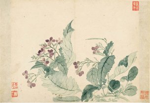 清 恽寿平 花卉图册十开-2 纸本 33x22.8[花鸟] 