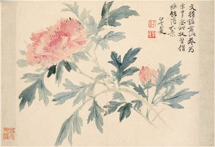 清 恽寿平 花卉图册十开-4 （牡丹图）纸本 33x2 