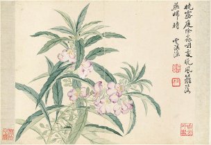 清 恽寿平 花卉图册十开-8 纸本 33x22.8[花鸟] 
