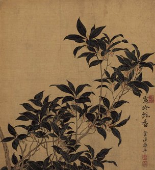 清 恽寿平 花卉册页十开-03 33x36[花鸟] 