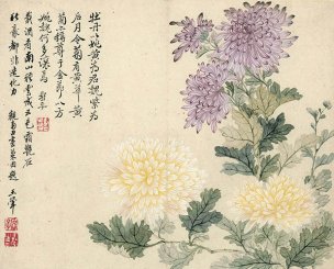 清 恽寿平 欧香馆写生冊 菊花 36x29[花鸟] 