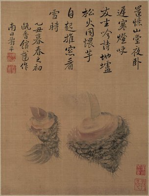 清 恽寿平 花卉图册-6-画 20x26[花鸟] 