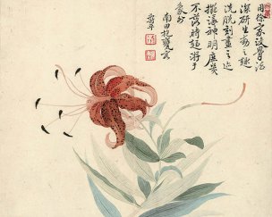 清 恽寿平 欧香馆写生冊 卷丹 36x29[花鸟] 