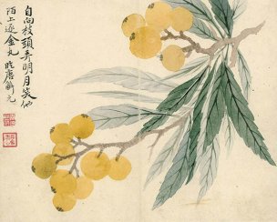 清 恽寿平 欧香馆写生冊 枇杷 36x29[花鸟] 