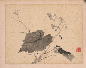 清 张敔 花卉图册页四开-2 30x23[花鸟] 
