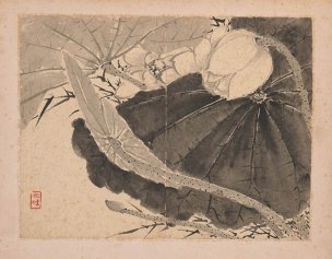 清 张敔 花卉图册页四开-1 30x23[花鸟] 