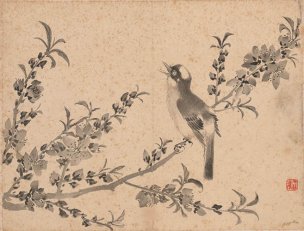 清 张雪鸿 花卉图册23-30cm-4[花鸟] 