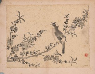 清 张敔 花卉图册页四开-4 30x23[花鸟] 
