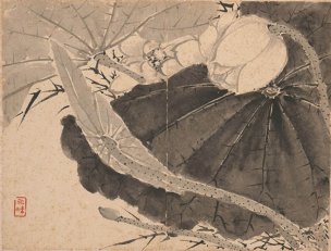 清 张雪鸿 花卉图册23-30cm-1[花鸟] 