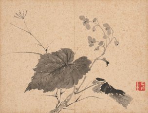 清 张雪鸿 花卉图册23-30cm-2[花鸟] 