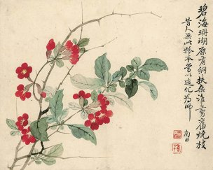 清 恽寿平 欧香馆写生冊 碧海珊瑚 36x29[花鸟] 