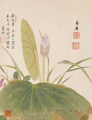 明 项圣谟 花卉十开-03 24x31[花鸟] 