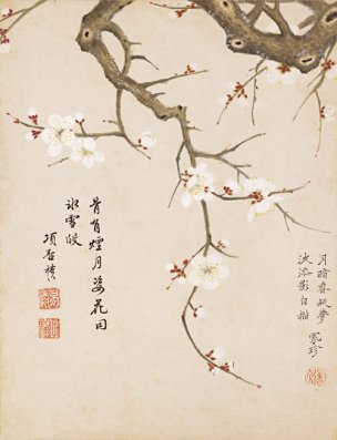 明 项圣谟 花卉十开-10 24x31[花鸟] 