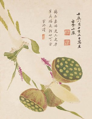 明 项圣谟 花卉十开-04 24x31[花鸟] 