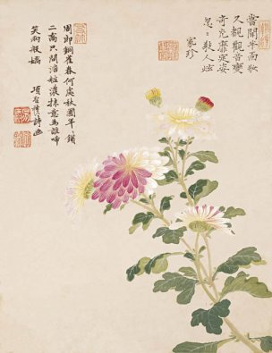 明 项圣谟 花卉十开-01 24x31[花鸟] 