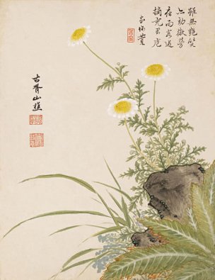 明 项圣谟 花卉十开-08 24x31[花鸟] 