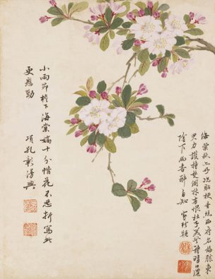 明 项圣谟 花卉十开-06 24x31[花鸟] 