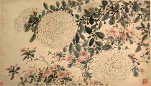 明 陈春 白阳集花册页004[花鸟]
