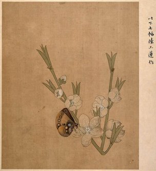明 陈洪绶 人物山水花鸟册005 [花鸟]