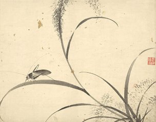 明 杜大成 花碟草虫十开-06 [花鸟]