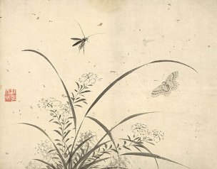 明 杜大成 花碟草虫十开-13 [花鸟]