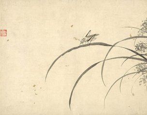 明 杜大成 花碟草虫十开-09 [花鸟]