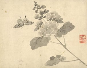明 杜大成 花碟草虫十开-01 [花鸟]