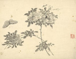 明 杜大成 花碟草虫十开-10 [花鸟]