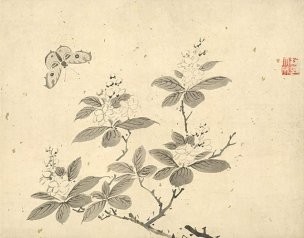 明 杜大成 花碟草虫十开-03 [花鸟]