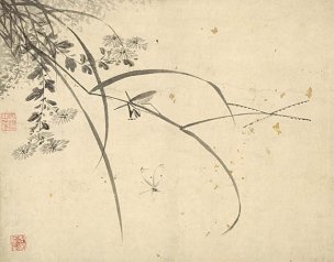明 杜大成 花碟草虫十开-12 [花鸟]