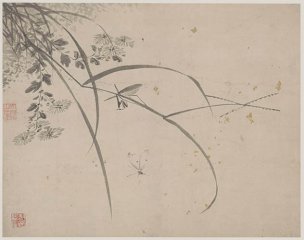 明 杜大成 册页花蝶草虫十开ceye5-8 [花鸟]