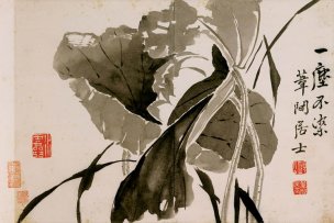 清 边寿民 册页杂画十开-10 36x24[花鸟] 