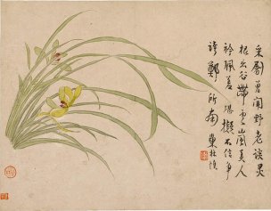 清 汪士慎 花卉图册十二开-8-X 31.2x24.2[花鸟] 