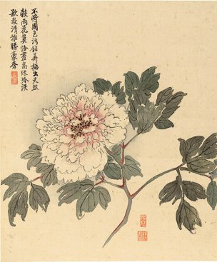清 杨晋 花鸟册页十二开-5 33x40[花鸟] 