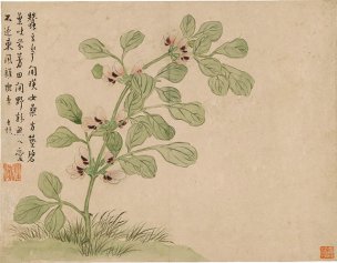 清 汪士慎 花卉图册十二开-1-X 31.2x24.2[花鸟] 